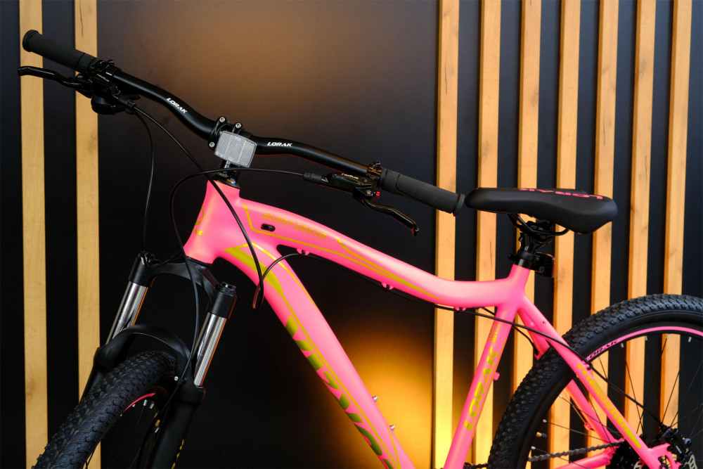 LORAK GLORY 250 HD Матовый Розовый/Золотой рама 17 (на рост 155-173)